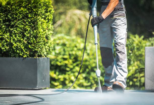 Best Gutter Cleaning  in Woodbine, NJ