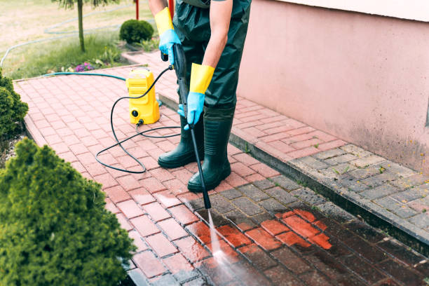 Best Fleet Vehicle Washing  in Woodbine, NJ