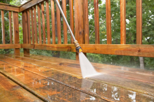 Best Roof Washing  in Woodbine, NJ